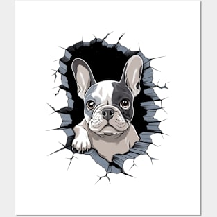 Boston Terrier in a Wall Posters and Art